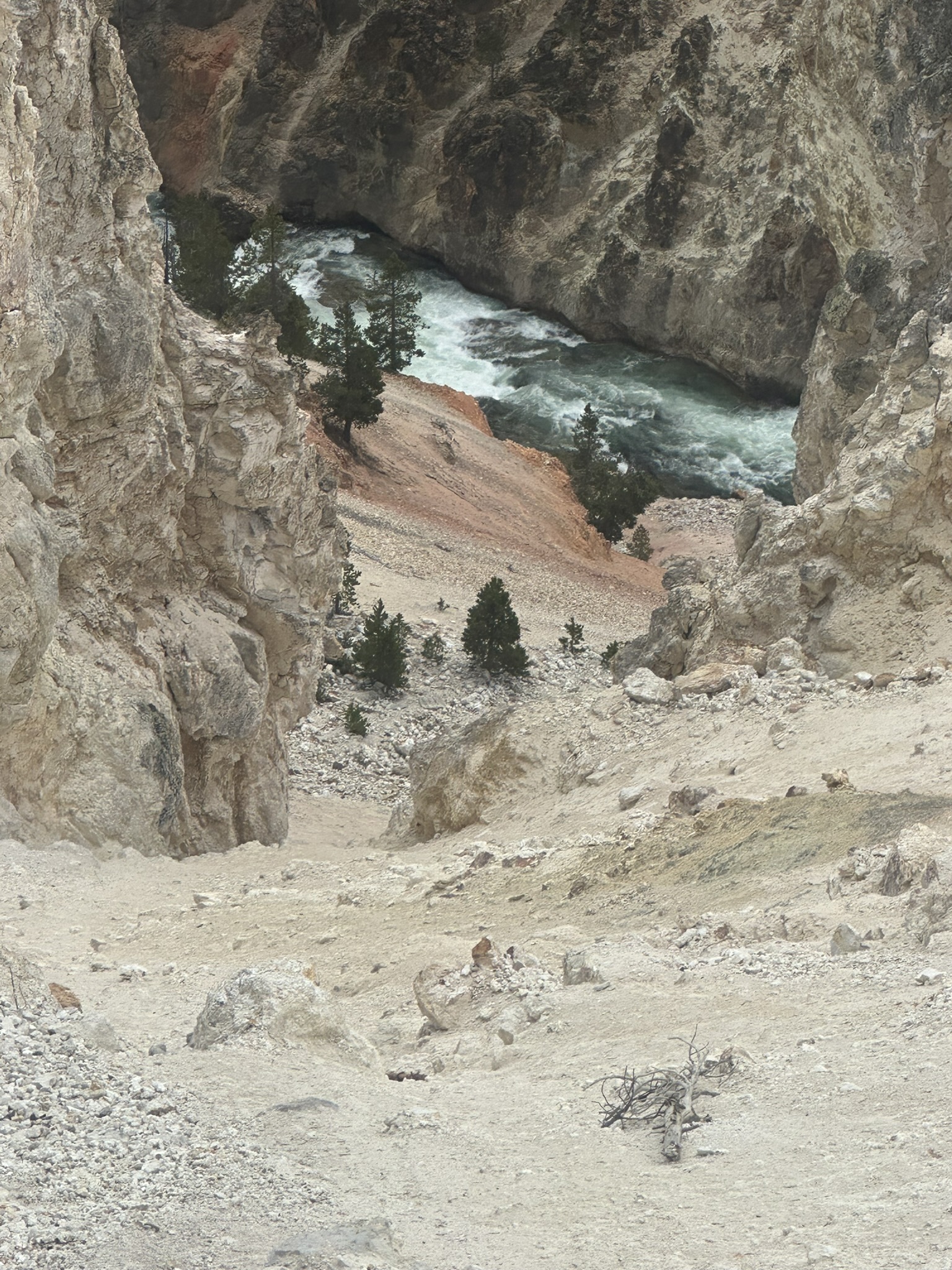 Yellowstone And Grand Teton National Parks - Image 619